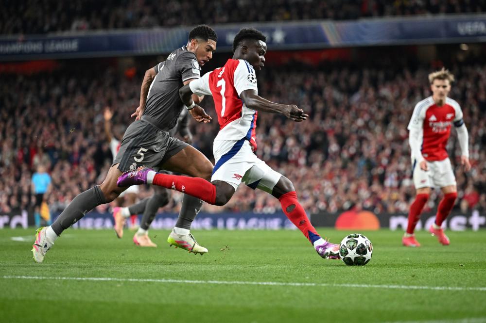 灰熊的禁区 灰熊的禁区